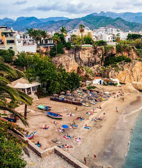 empresa para eliminar chinches en Costa de Sol