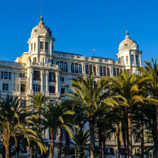 Eliminar Procesionaria en Málaga