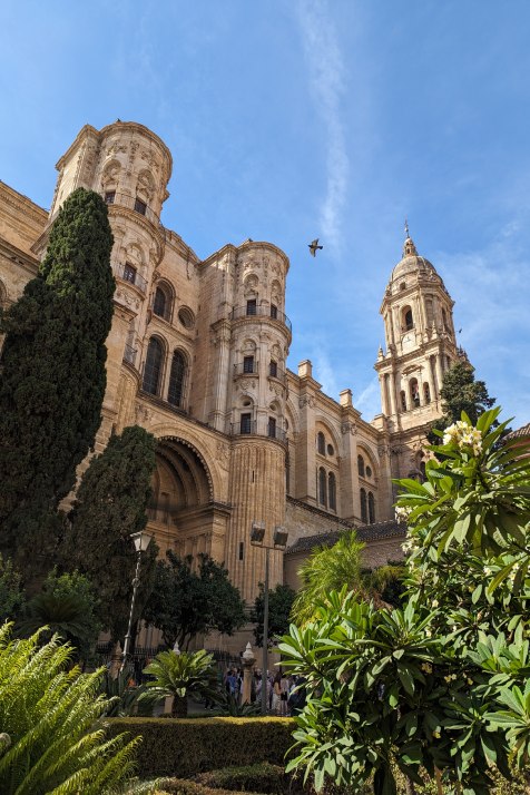 Empresa de Desratización en Málaga y alrededores_