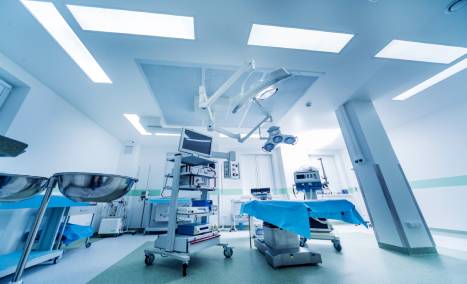 ratones en clinicas y oficinas