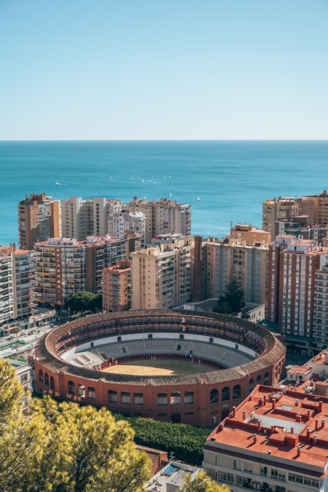 Fumigamos plagas de hormigas en Málaga y toda la Costa del Sol_