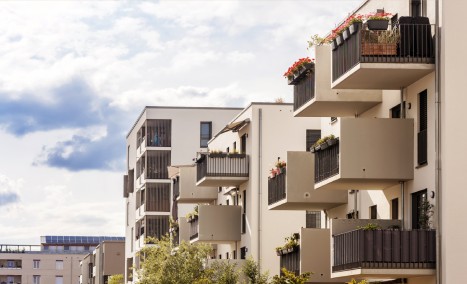 hormigas en viviendas y casas