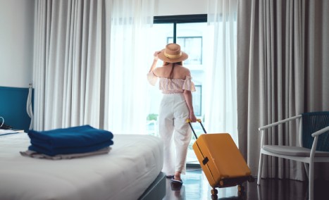 hormigas hoteles y negocios
