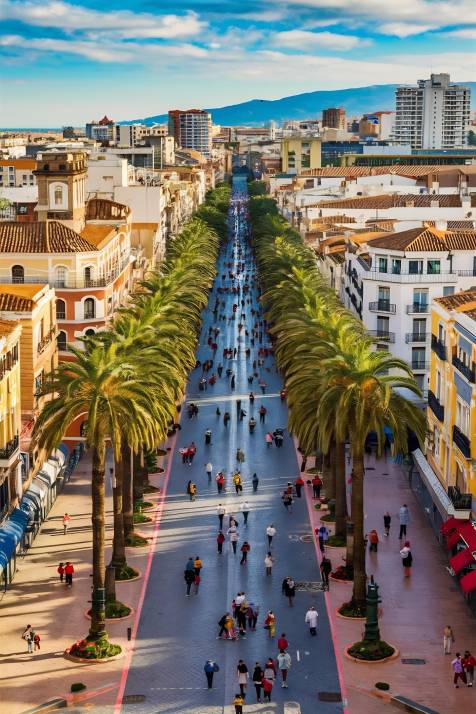 Controlamos y eliminamos avispas en Málaga y toda la Costa del Sol_