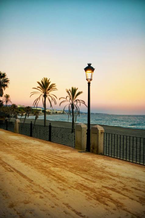 Eliminamos plagas de mosquitos en Marbella y toda la Costa del Sol