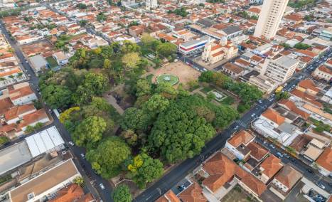 avispas en viviendas y casas