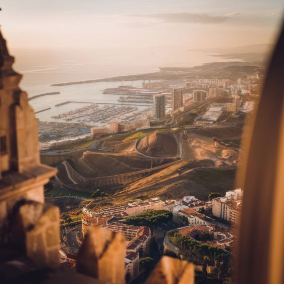 ¿Por qué aparecen pulgas en Málaga_