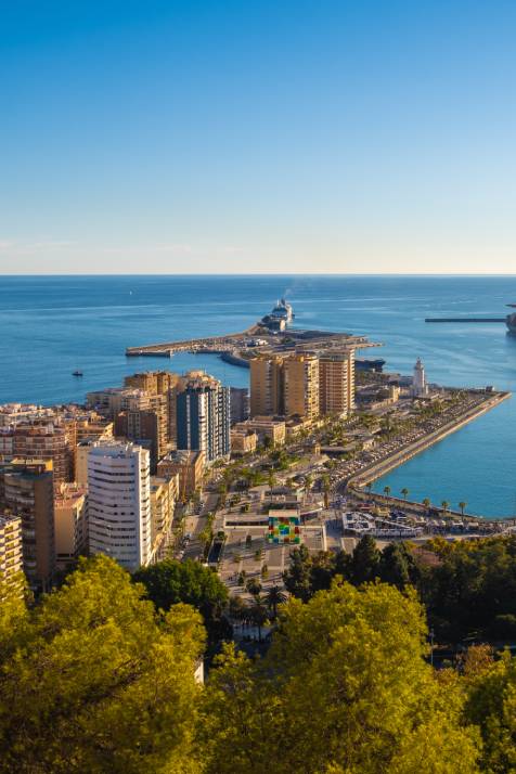 eliminar pececillos de plata en málaga