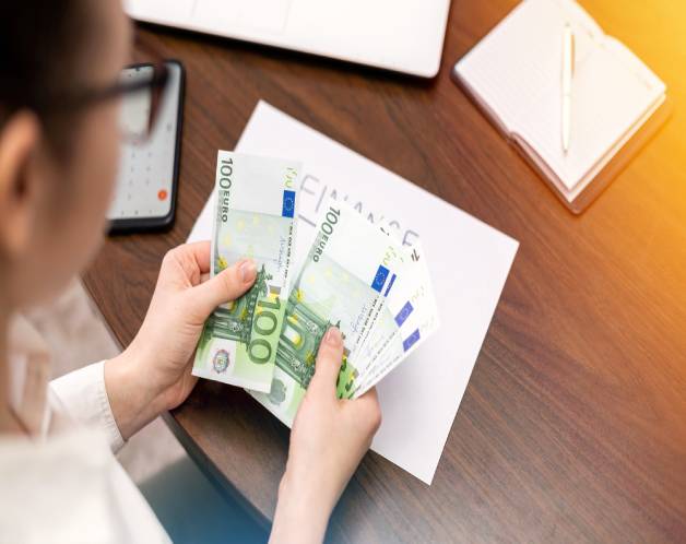 precio eliminar moscas en malaga