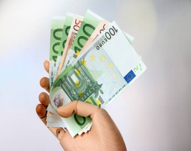 precio para eliminar pececillos de plata en malaga