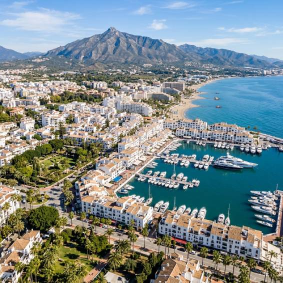 eliminar avispón oriental en marbella